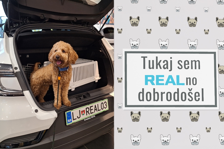 V Avtohiši Real z veseljem pozdravljamo tudi vaše štirinožne prijatelje!